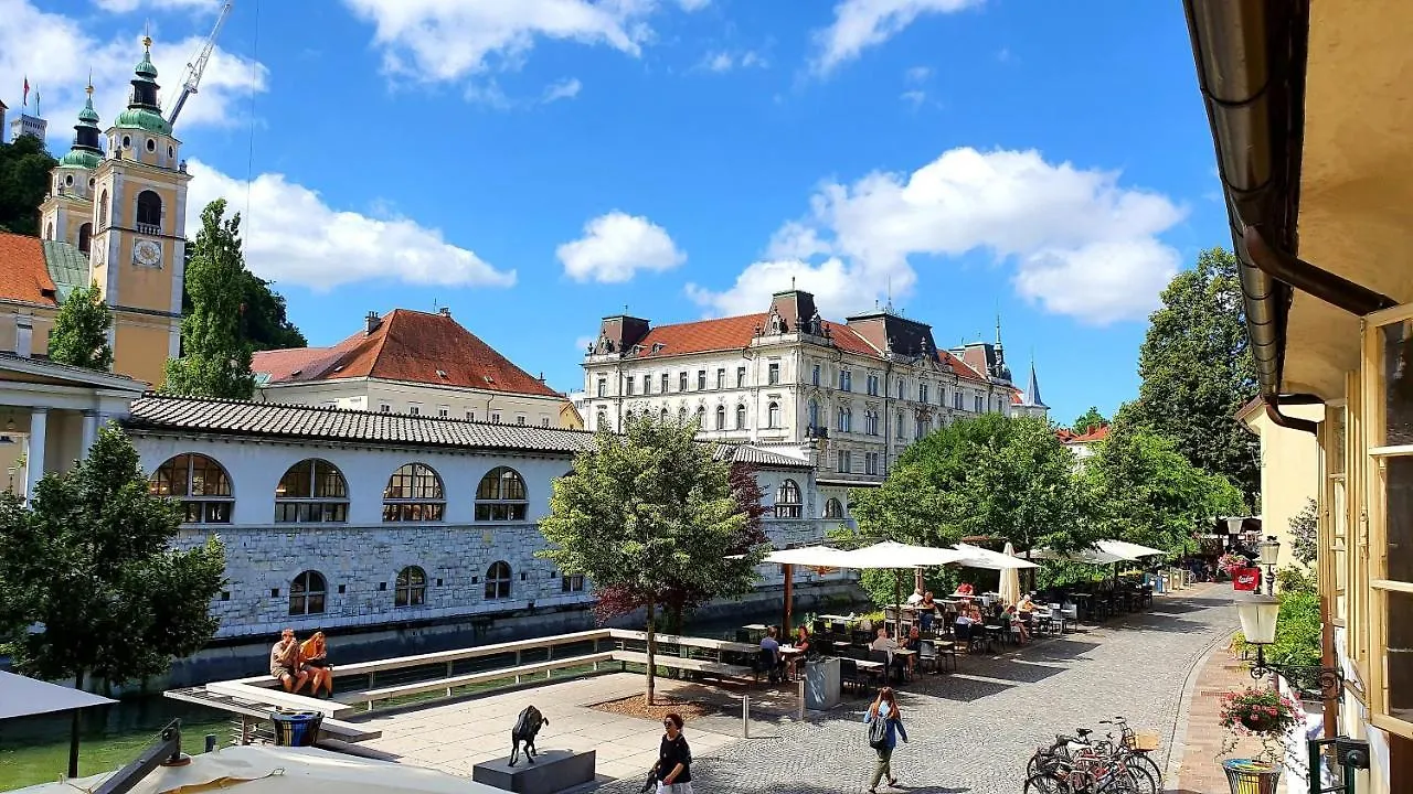 Petkovsek Rooms And Apartments contacts