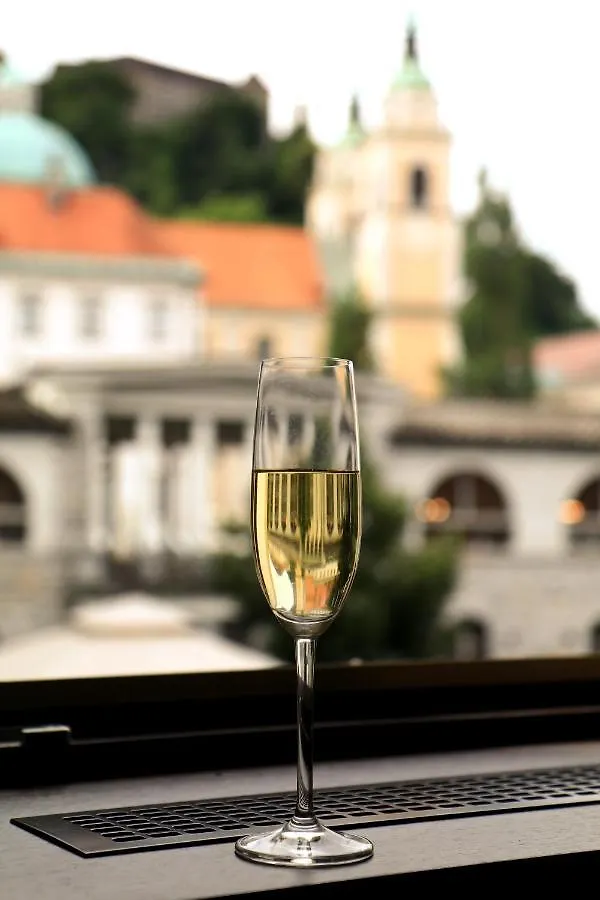 Petkovsek Rooms And Apartments Ljubljana